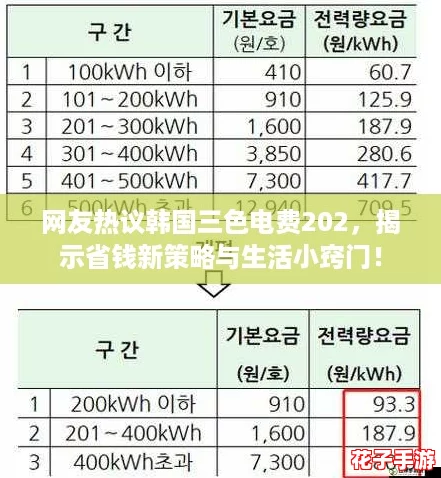 网友热议韩国三色电费202，揭示省钱新策略与生活小窍门！