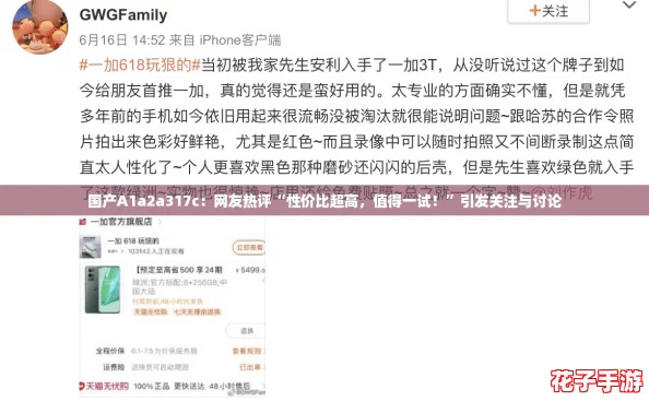 国产A1a2a317c:网友热评“性价比超高,值得一试!”引发关注与讨论 国产A1a2a317c:网友热评“性价比超高,值得一试!”引发关注与讨论