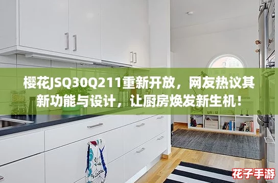 樱花JSQ30Q211重新开放，网友热议其新功能与设计，让厨房焕发新生机！