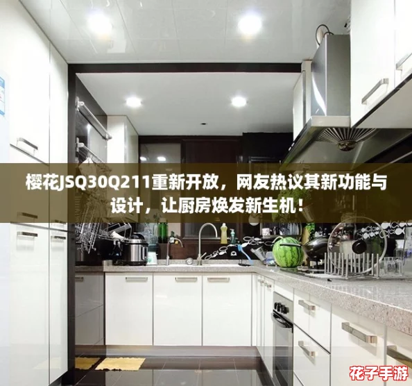 樱花JSQ30Q211重新开放，网友热议其新功能与设计，让厨房焕发新生机！