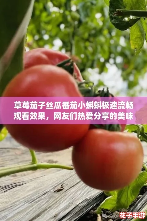 草莓茄子丝瓜番茄小蝌蚪极速流畅观看效果,网友们热爱分享的美味与乐趣结合体验! 草莓茄子丝瓜番茄小蝌蚪极速流畅观看效果,网友们热爱分享的美味与乐趣结合体验!