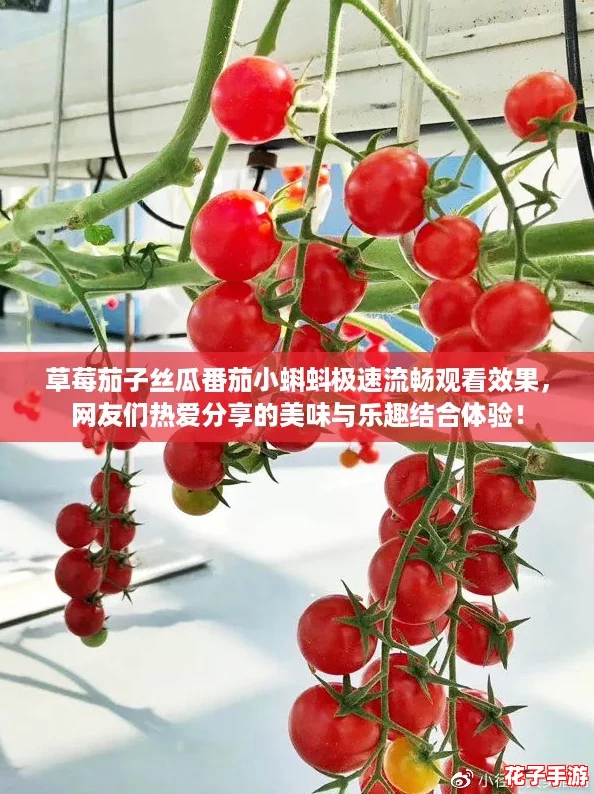 草莓茄子丝瓜番茄小蝌蚪极速流畅观看效果,网友们热爱分享的美味与乐趣结合体验! 草莓茄子丝瓜番茄小蝌蚪极速流畅观看效果,网友们热爱分享的美味与乐趣结合体验!