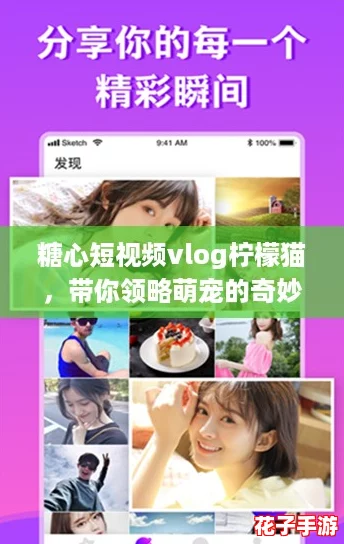 糖心短视频vlog柠檬猫，带你领略萌宠的奇妙世界与温暖瞬间！