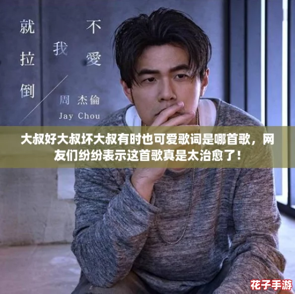 大叔好大叔坏大叔有时也可爱歌词是哪首歌，网友们纷纷表示这首歌真是太治愈了！