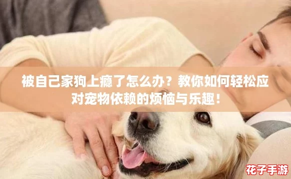 被自己家狗上瘾了怎么办？教你如何轻松应对宠物依赖的烦恼与乐趣！