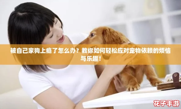 被自己家狗上瘾了怎么办？教你如何轻松应对宠物依赖的烦恼与乐趣！