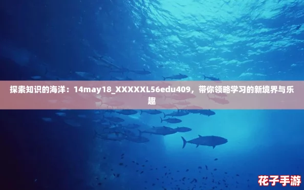 探索知识的海洋：14may18_XXXXXL56edu409，带你领略学习的新境界与乐趣