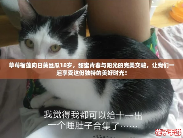 草莓榴莲向日葵丝瓜18岁，甜蜜青春与阳光的完美交融，让我们一起享受这份独特的美好时光！