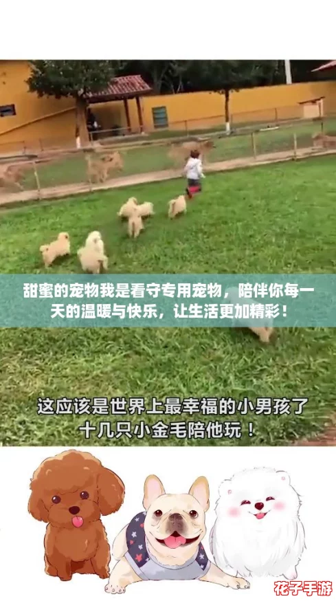 甜蜜的宠物我是看守专用宠物，陪伴你每一天的温暖与快乐，让生活更加精彩！