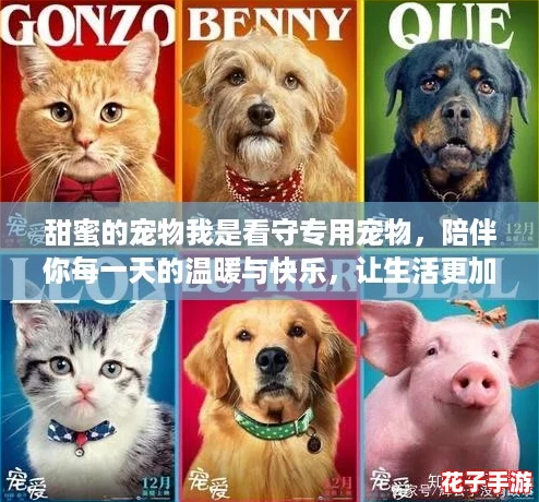 甜蜜的宠物我是看守专用宠物,陪伴你每一天的温暖与快乐,让生活更加精彩! 甜蜜的宠物我是看守专用宠物,陪伴你每一天的温暖与快乐,让生活更加精彩!