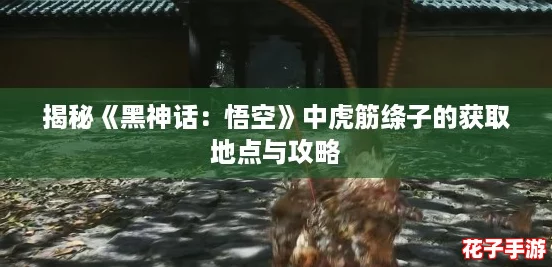 揭秘《黑神话：悟空》中虎筋绦子的获取地点与攻略