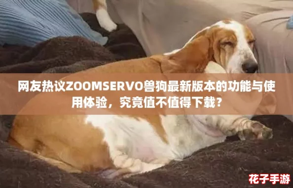 网友热议ZOOMSERVO兽狗最新版本的功能与使用体验，究竟值不值得下载？