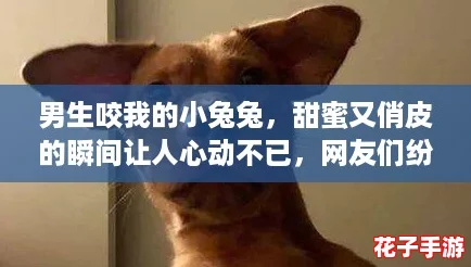 男生咬我的小兔兔，甜蜜又俏皮的瞬间让人心动不已，网友们纷纷点赞！