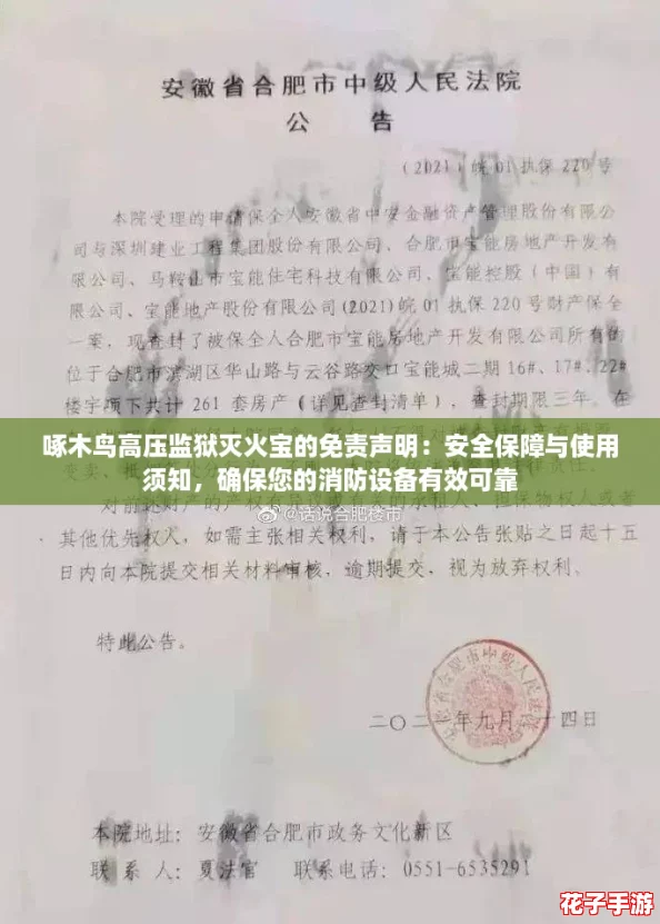 啄木鸟高压监狱灭火宝的免责声明：安全保障与使用须知，确保您的消防设备有效可靠