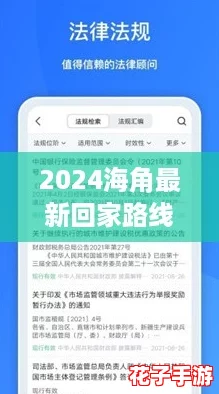 2024海角最新回家路线，网友热议的便捷选择与实用攻略分享