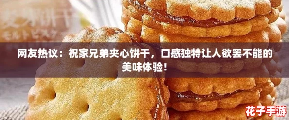 网友热议：祝家兄弟夹心饼干，口感独特让人欲罢不能的美味体验！