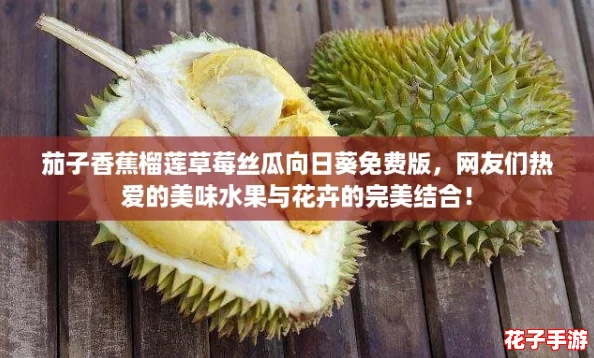 茄子香蕉榴莲草莓丝瓜向日葵免费版，网友们热爱的美味水果与花卉的完美结合！