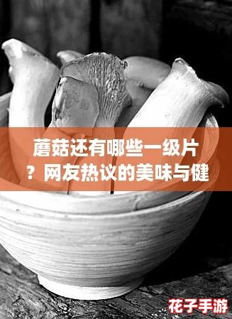 蘑菇还有哪些一级片?网友热议的美味与健康搭配推荐! 蘑菇还有哪些一级片?网友热议的美味与健康搭配推荐!