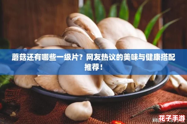 蘑菇还有哪些一级片？网友热议的美味与健康搭配推荐！