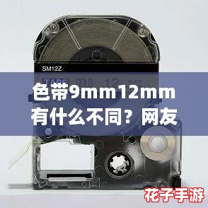 色带9mm12mm有什么不同？网友热议：选择适合你的打印机色带，提升使用体验！