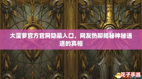 大菠萝官方官网隐藏入口，网友热聊揭秘神秘通道的真相