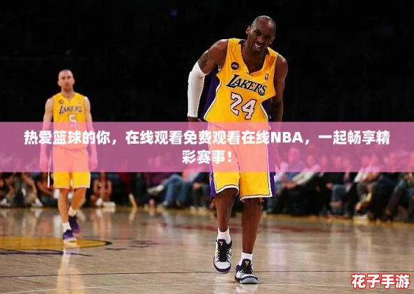 热爱篮球的你，在线观看免费观看在线NBA，一起畅享精彩赛事！