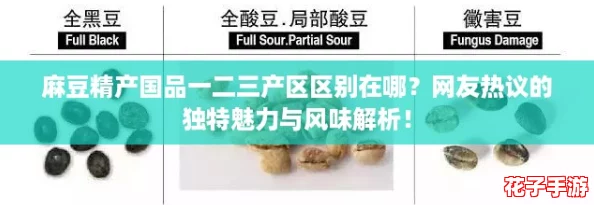 麻豆精产国品一二三产区区别在哪？网友热议的独特魅力与风味解析！