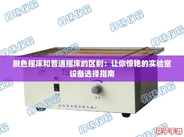 脱色摇床和普通摇床的区别：让你惊艳的实验室设备选择指南