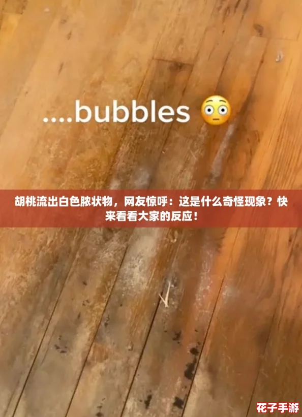 胡桃流出白色脓状物，网友惊呼：这是什么奇怪现象？快来看看大家的反应！