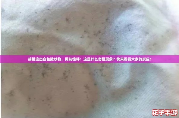 胡桃流出白色脓状物，网友惊呼：这是什么奇怪现象？快来看看大家的反应！
