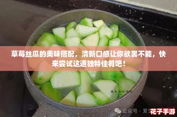 草莓丝瓜的美味搭配，清新口感让你欲罢不能，快来尝试这道独特佳肴吧！