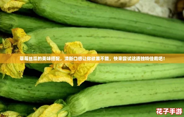 草莓丝瓜的美味搭配,清新口感让你欲罢不能,快来尝试这道独特佳肴吧! 草莓丝瓜的美味搭配,清新口感让你欲罢不能,快来尝试这道独特佳肴吧!