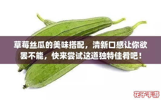 草莓丝瓜的美味搭配,清新口感让你欲罢不能,快来尝试这道独特佳肴吧! 草莓丝瓜的美味搭配,清新口感让你欲罢不能,快来尝试这道独特佳肴吧!