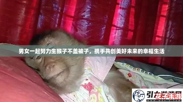 男女一起努力生猴子不盖被子，携手共创美好未来的幸福生活