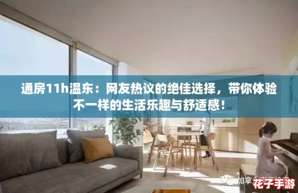 通房11h温东：网友热议的绝佳选择，带你体验不一样的生活乐趣与舒适感！