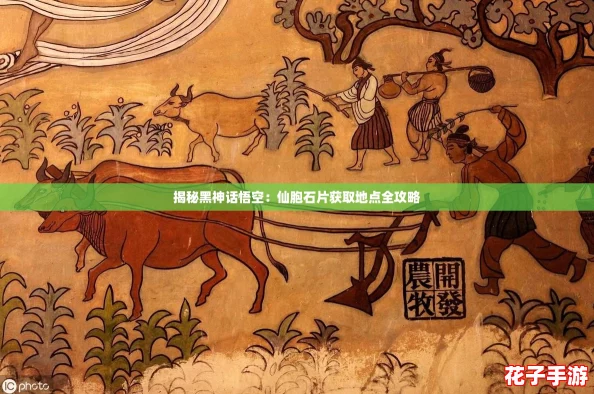 揭秘黑神话悟空：仙胞石片获取地点全攻略