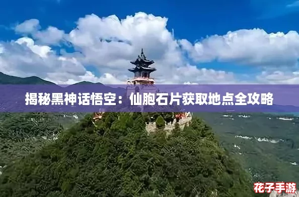 揭秘黑神话悟空：仙胞石片获取地点全攻略