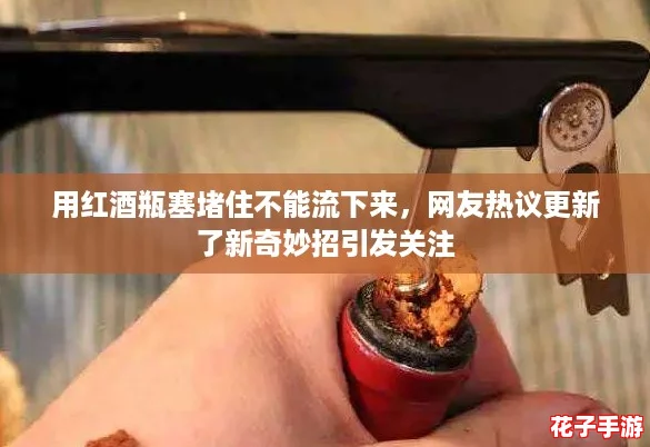 用红酒瓶塞堵住不能流下来，网友热议更新了新奇妙招引发关注