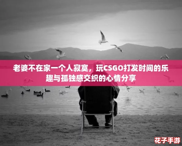 老婆不在家一个人寂寞，玩CSGO打发时间的乐趣与孤独感交织的心情分享