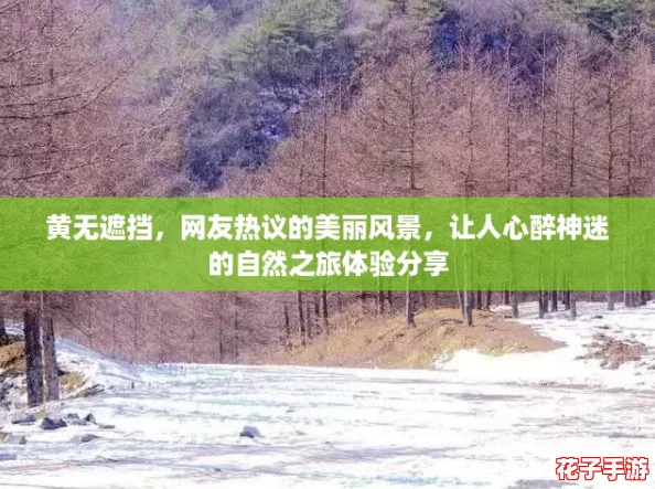 黄无遮挡，网友热议的美丽风景，让人心醉神迷的自然之旅体验分享