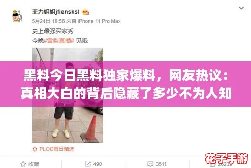 黑料今日黑料独家爆料，网友热议：真相大白的背后隐藏了多少不为人知的秘密？