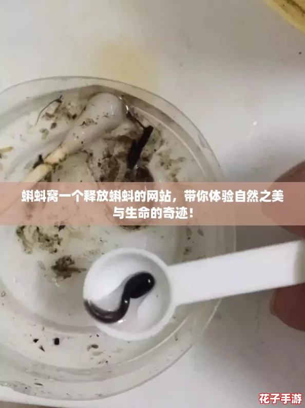 蝌蚪窝一个释放蝌蚪的网站，带你体验自然之美与生命的奇迹！