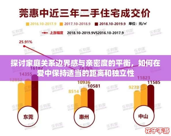 探讨家庭关系边界感与亲密度的平衡，如何在爱中保持适当的距离和独立性