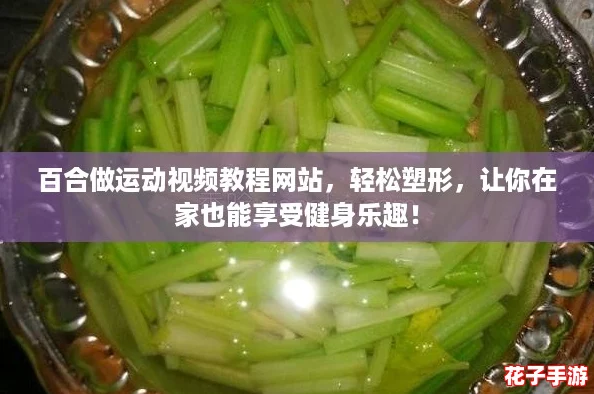 百合做运动视频教程网站，轻松塑形，让你在家也能享受健身乐趣！