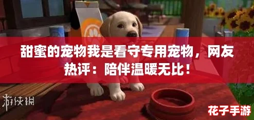 甜蜜的宠物我是看守专用宠物，网友热评：陪伴温暖无比！