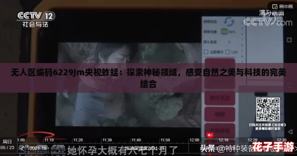 无人区编码6229Jm央视蚱蜢：探索神秘领域，感受自然之美与科技的完美结合