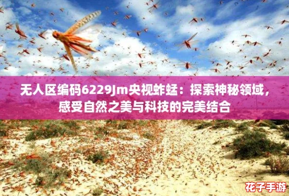无人区编码6229Jm央视蚱蜢：探索神秘领域，感受自然之美与科技的完美结合