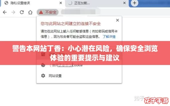 警告本网站丁香：小心潜在风险，确保安全浏览体验的重要提示与建议