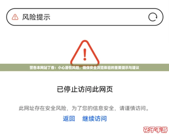 警告本网站丁香：小心潜在风险，确保安全浏览体验的重要提示与建议