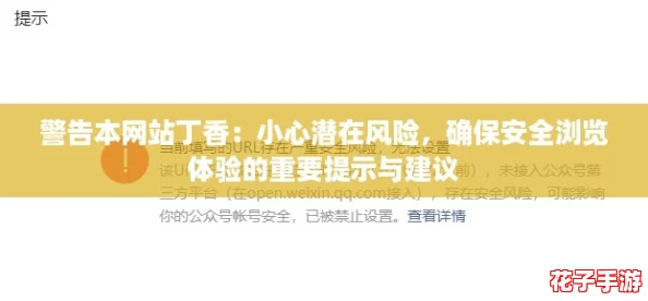 警告本网站丁香：小心潜在风险，确保安全浏览体验的重要提示与建议